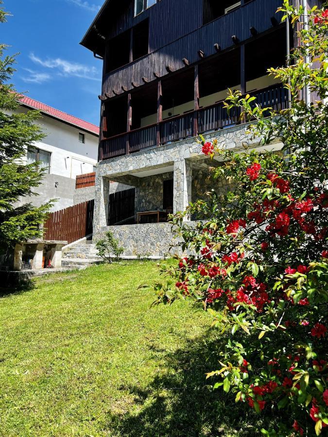 The Bear House 2 Villa Buşteni Buitenkant foto